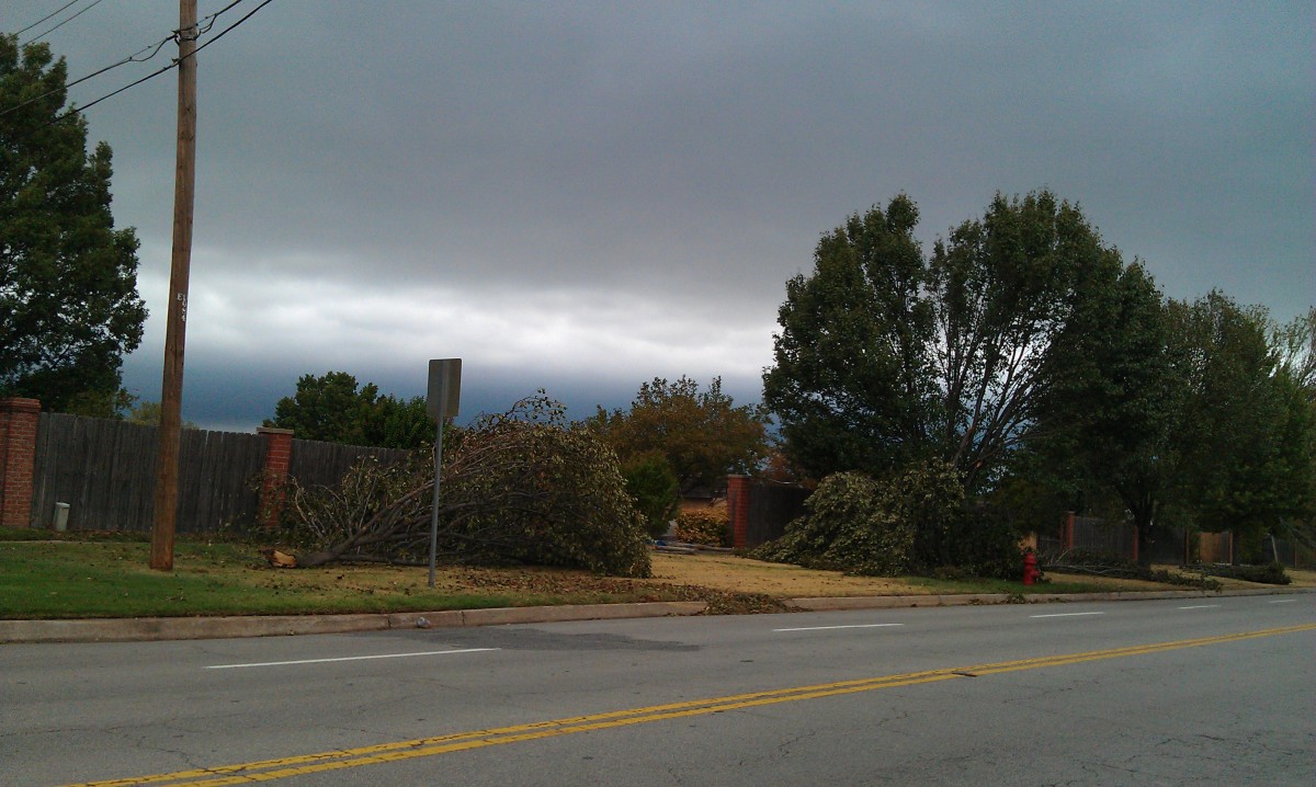 Storm damages fences and trees