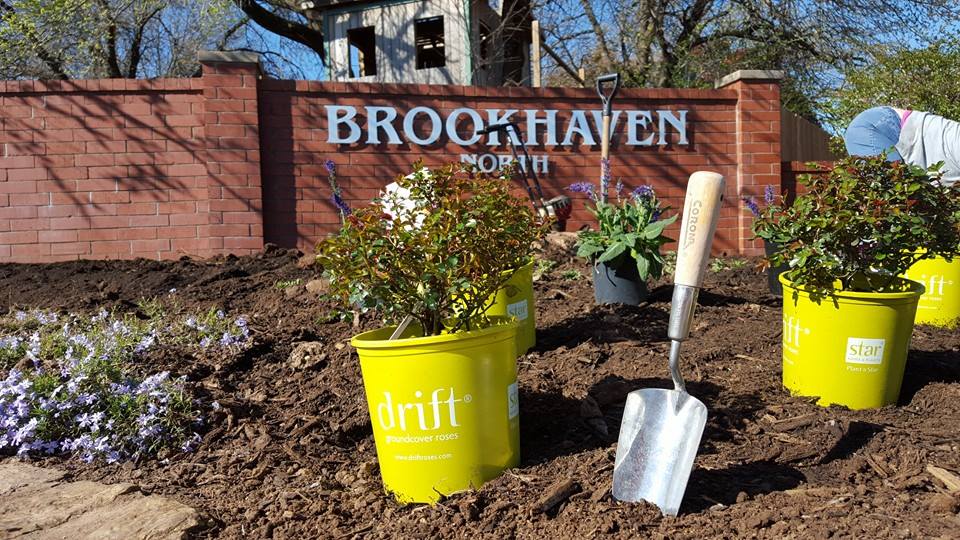 Potted flower with small trowel stuck in dirt at neighborhood entrance.